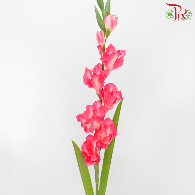 Artificial Gladiolus Spray - Neon Pink (2 Stems）-Neon Pink-Pudu Ria Florist-prflorist.com.my
