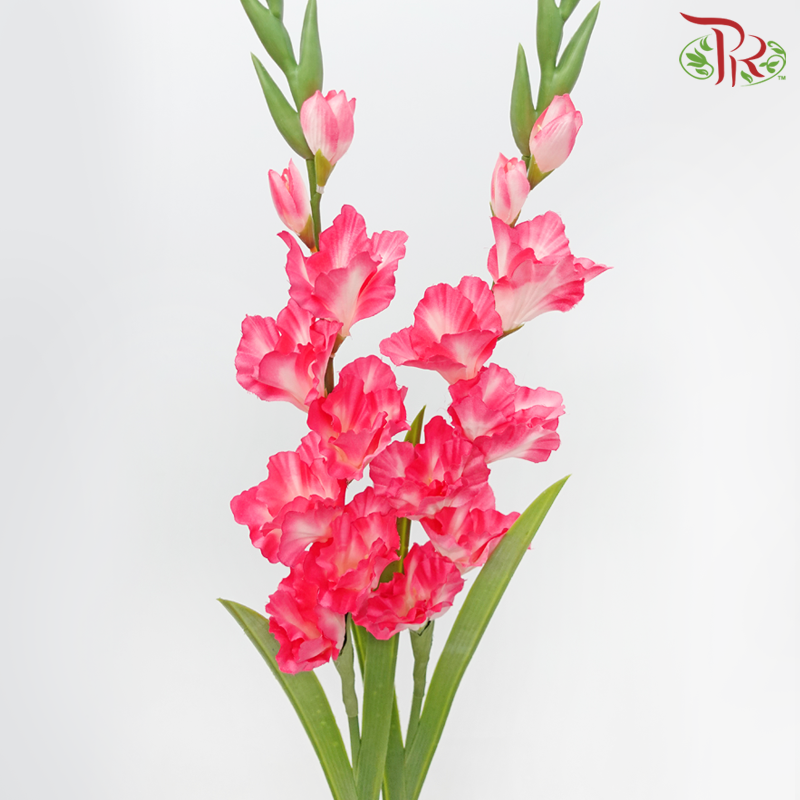 Artificial Gladiolus Spray - Neon Pink (2 Stems）-Neon Pink-Pudu Ria Florist-prflorist.com.my