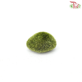 Artificial Moss Stone Polystyrene - Small Size (Per Packet)-Pudu Ria Florist-prflorist.com.my