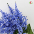 Astilbe - Blue (5 Stems)-Blue-Japan-prflorist.com.my