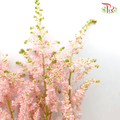 Astilbe - Light Pink (5 Stems)-Pink-Netherland-prflorist.com.my