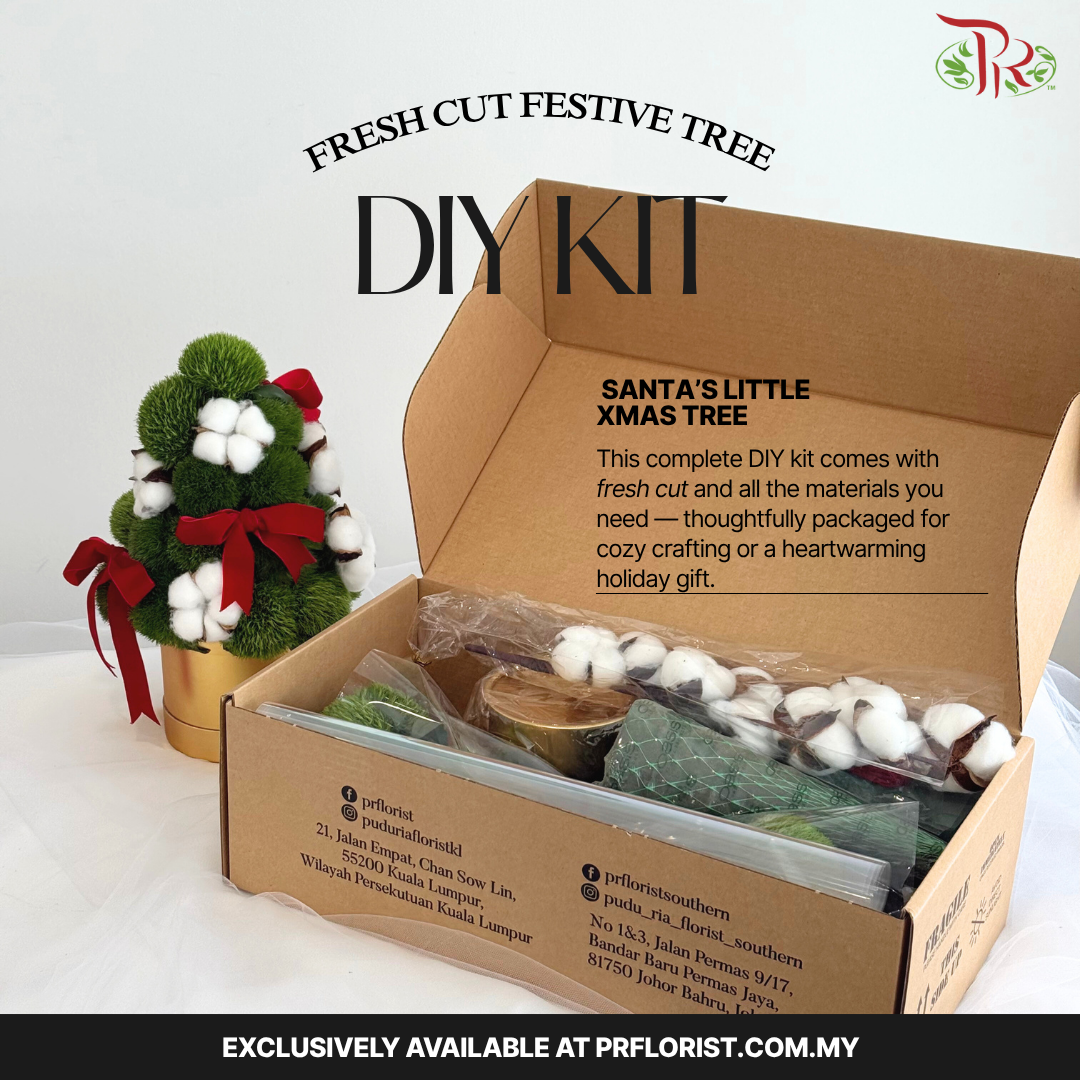 【XMAS 2025】Xmas DIY Kit - Santa’s Little Xmas Tree