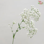 Baby Million Star / Big Bud (Baby's Breath) - (Per Bunch)-White-Malaysia-prflorist.com.my