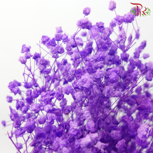 Baby's Breath Preservative - Bright Purple-Purple-China-prflorist.com.my