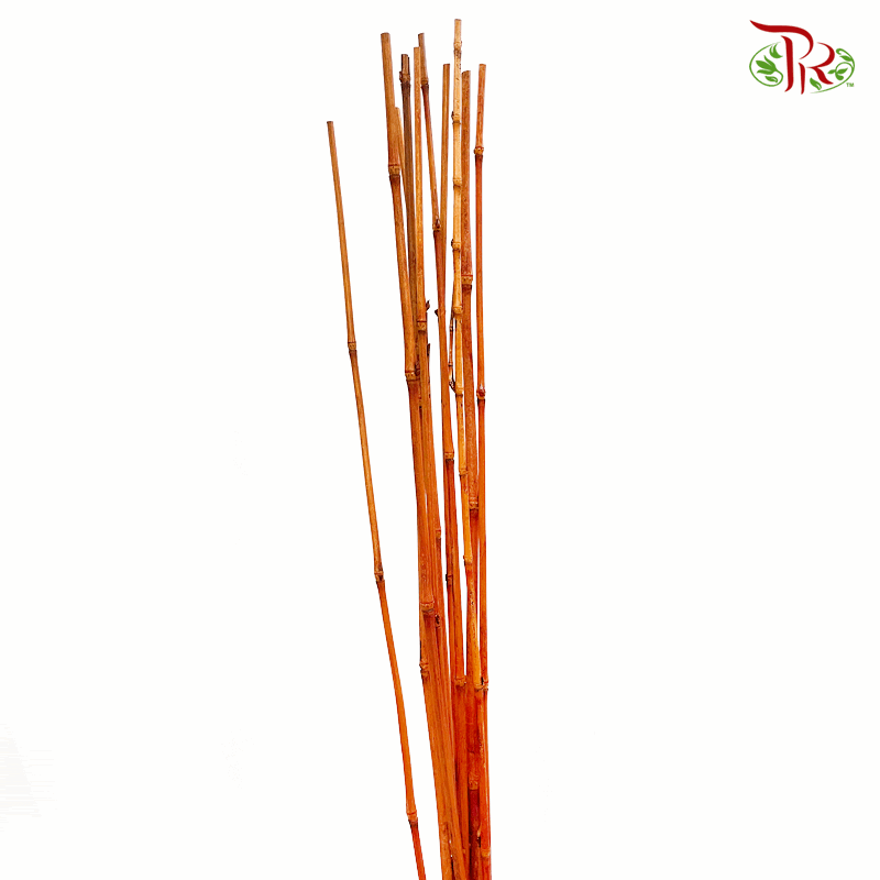 Brown Bamboo - (Per Bunch)