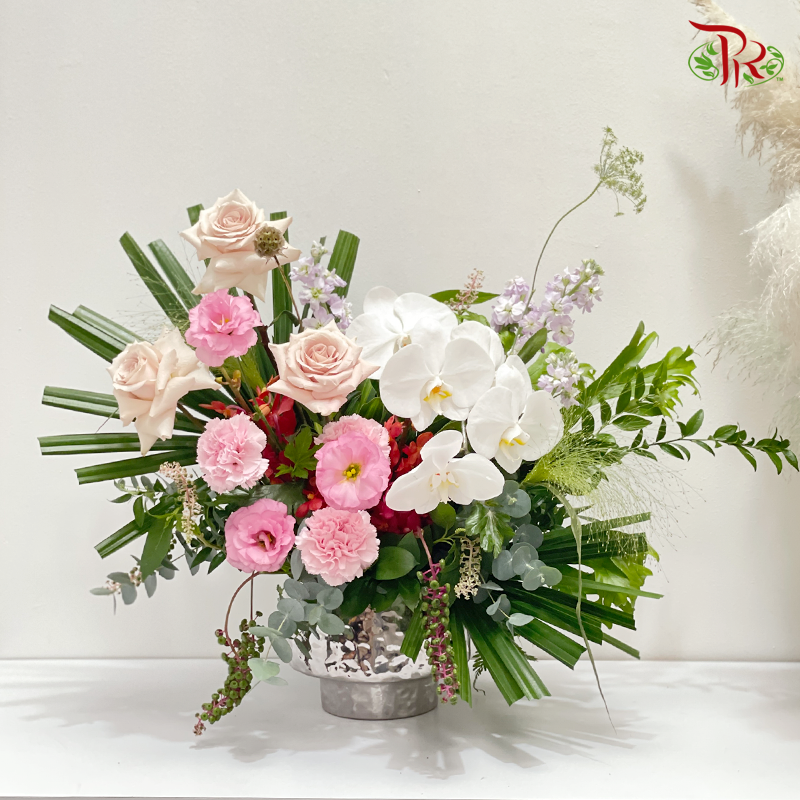 Bloomscape Elegance (In Pot) (M-L size)-Pudu Ria Florist-prflorist.com.my