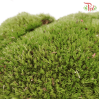 Bol Moss (Per box)-Pudu Ria Florist-prflorist.com.my