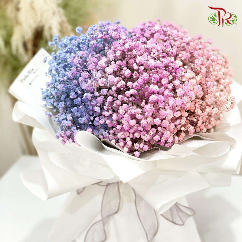 Bouquet- Sweet Colour Baby's Breath (M size)-Pudu Ria Florist-prflorist.com.my