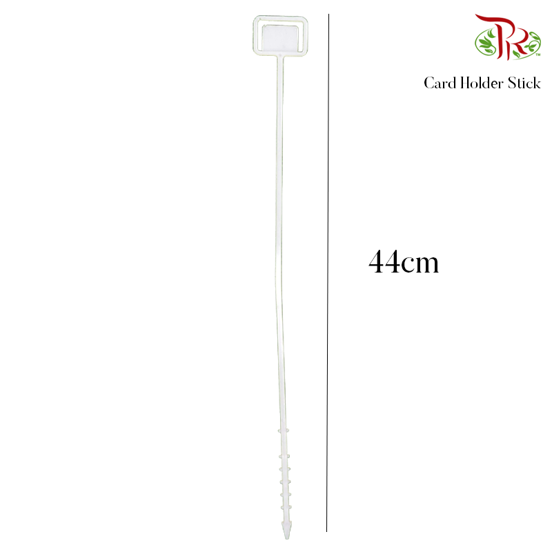 Card Holder Stick (White) (90-100 pcs) - Pudu Ria Florist