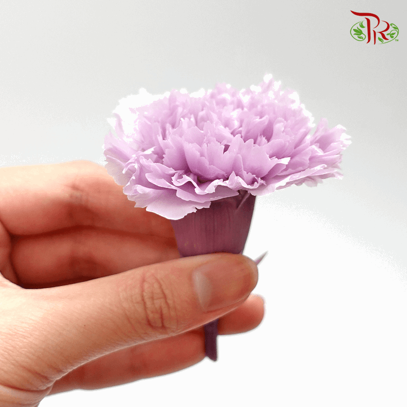 Carnation Preservative - Purple ( 0238-0-431 )-Purple-Japan-prflorist.com.my