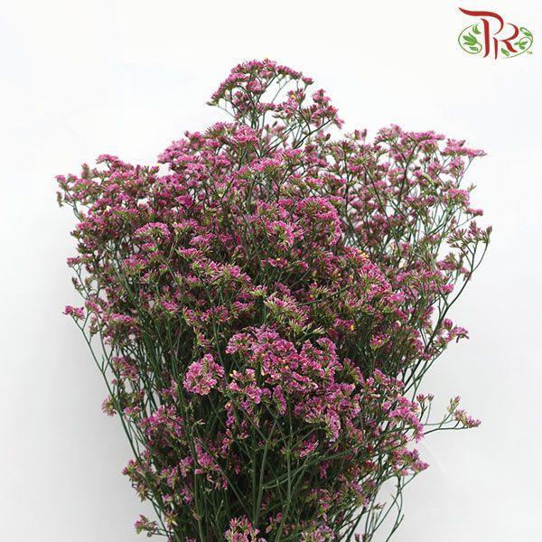 Caspia - Pink (Per Bunch)-Pink-China-prflorist.com.my