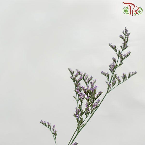 Caspia - Purple (Per Bunch)-Purple-China-prflorist.com.my