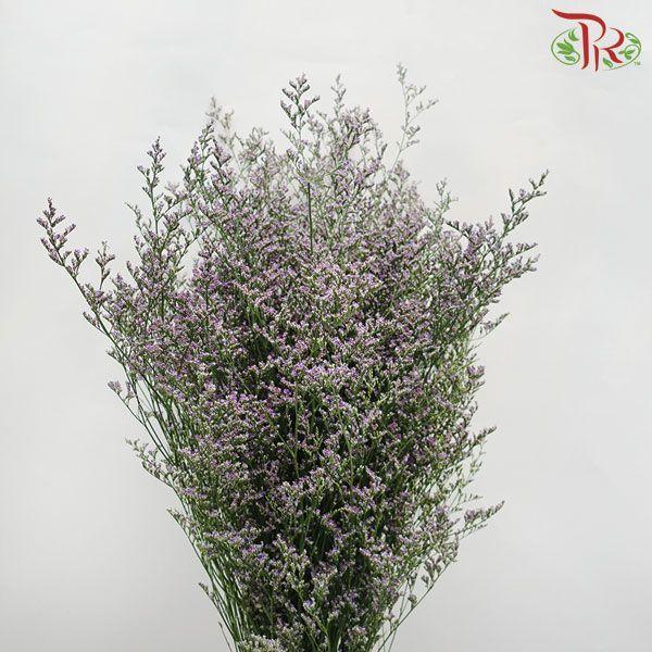 Caspia - Purple (Per Bunch)-Purple-Malaysia-prflorist.com.my