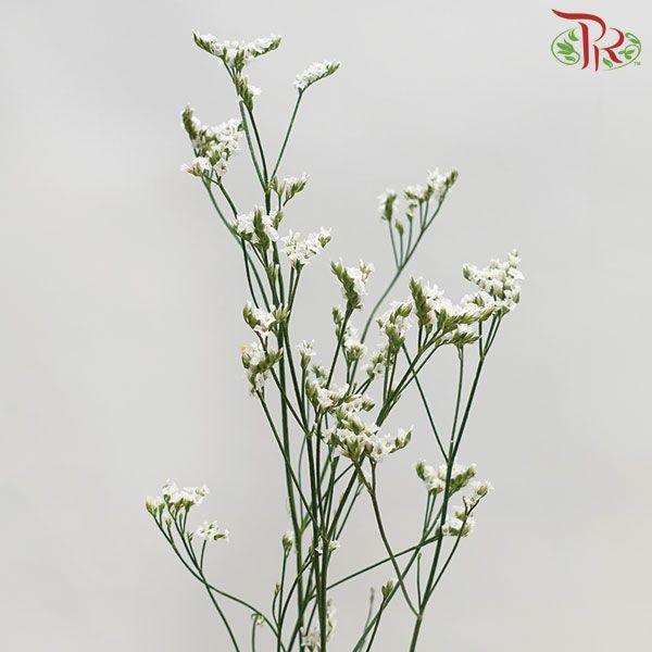 Caspia - White (Per Bunch)-White-China-prflorist.com.my