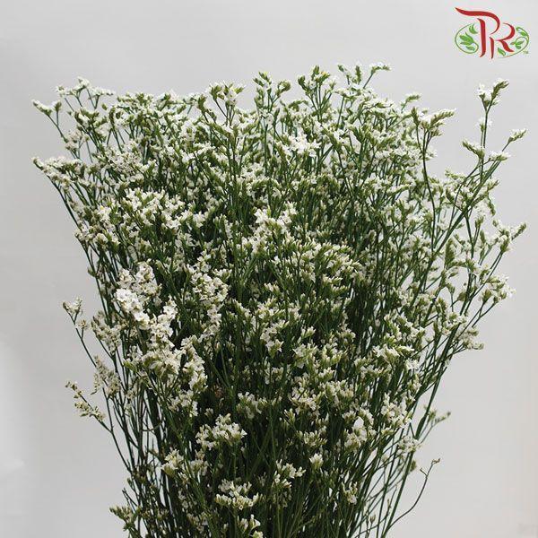 Caspia - White (Per Bunch)-White-China-prflorist.com.my