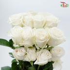 Ceres Rose - Vendela (10 Stems)-Cream-Ecd-prflorist.com.my