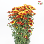 Chrysanthemum Pompom - Orange With Red Heart (12 Stems)-Orange Red-Malaysia-prflorist.com.my