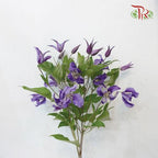 Clematis - Purple (5 Stems)-Purple-Netherland-prflorist.com.my