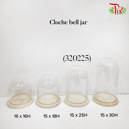 Cloche Bell Jar (320225) - H25 x D15 cm-China-prflorist.com.my