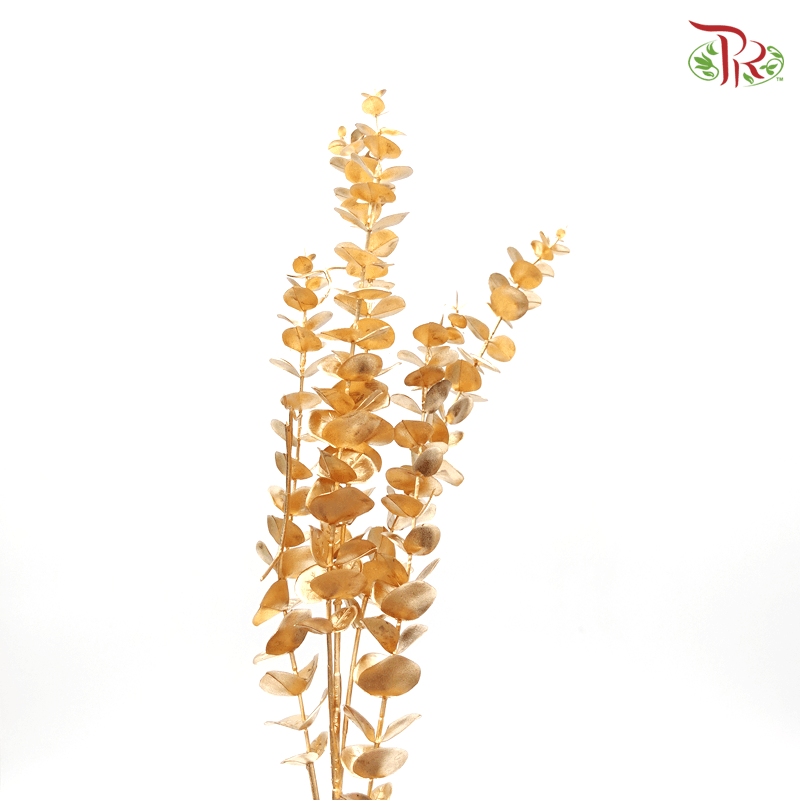 CNY Gold Leaf - Eucalyptus Leaf (5 Stalk)-China-prflorist.com.my