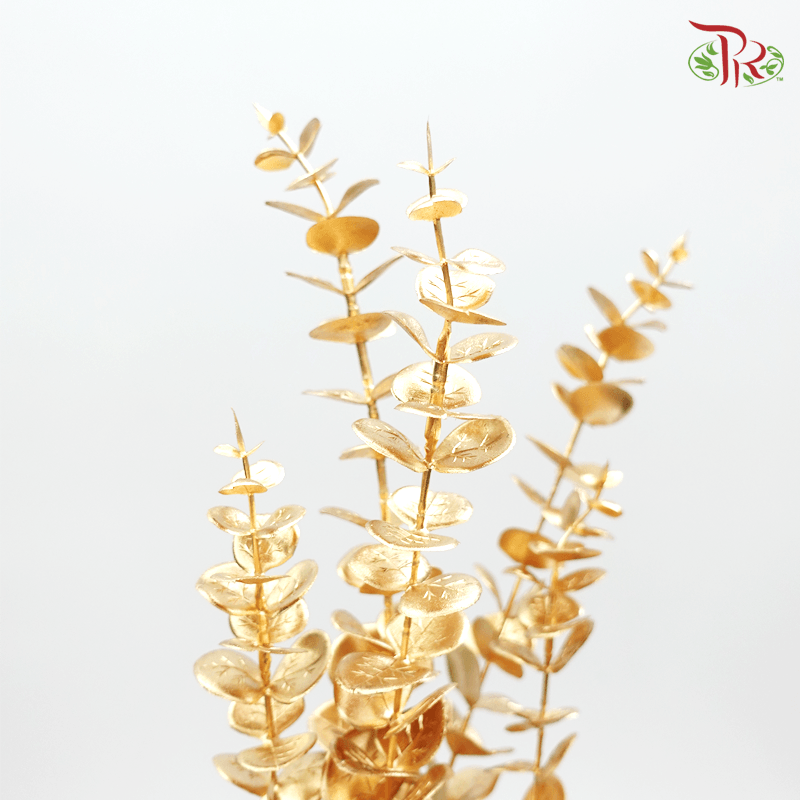 CNY Gold Leaf - Eucalyptus Leaf (5 Stalk)-China-prflorist.com.my