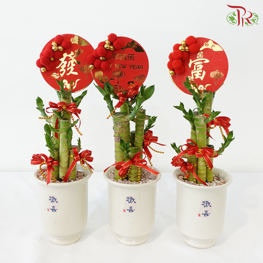 【CNY 2026】Five Blessings Dragon Head Bamboo《五福临门招财竹》(Random Choose CNY Deco)