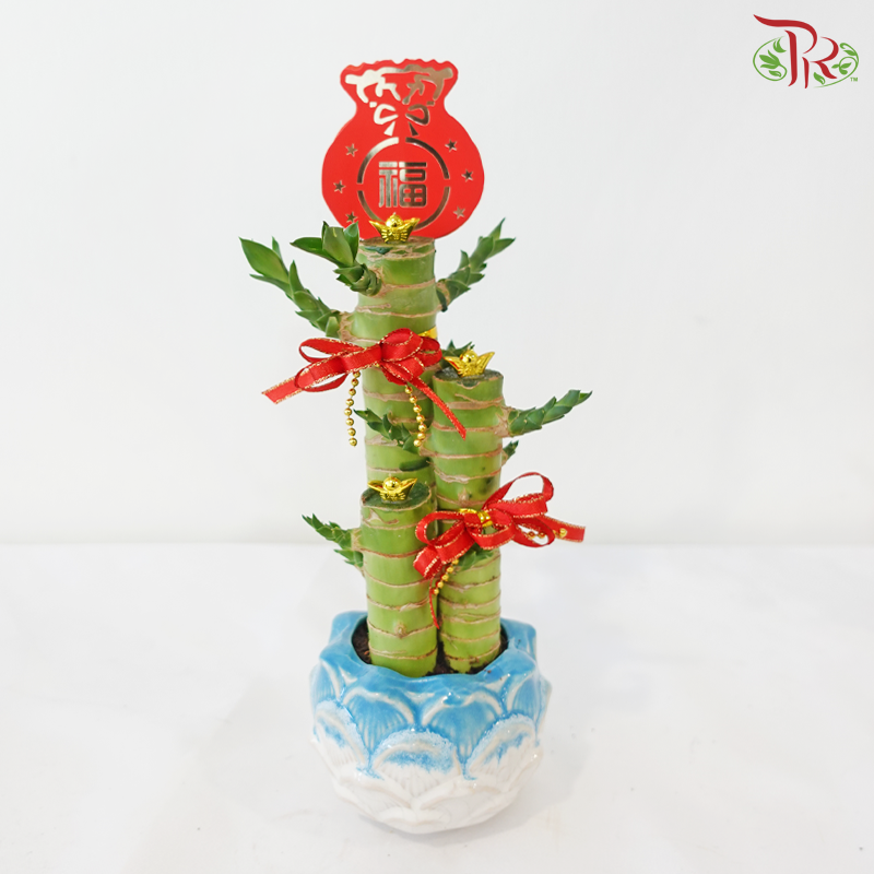 【CNY 2026】Fortune Gathering Dragon Head Bamboo (Lotus Pot)《聚福竹莲花》（With Pot Color Option)