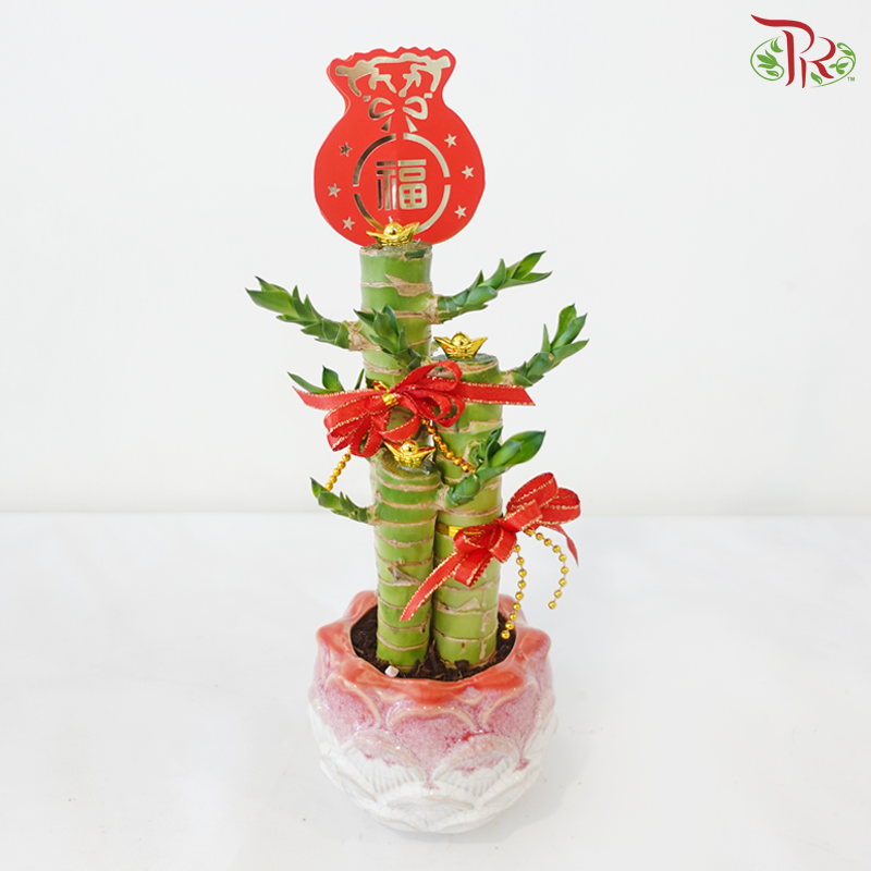 【CNY 2026】Fortune Gathering Dragon Head Bamboo (Lotus Pot)《聚福竹莲花》（With Pot Color Option)