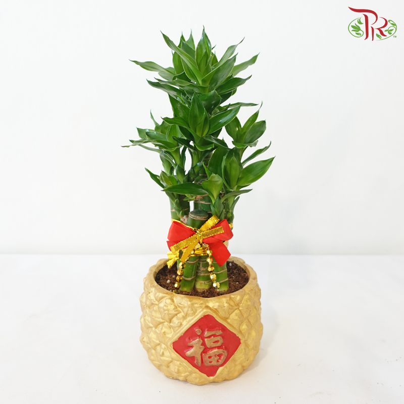 【CNY 2026】GF10 - Gold Full 5in1《金福5in1》(Random Choose CNY Deco)