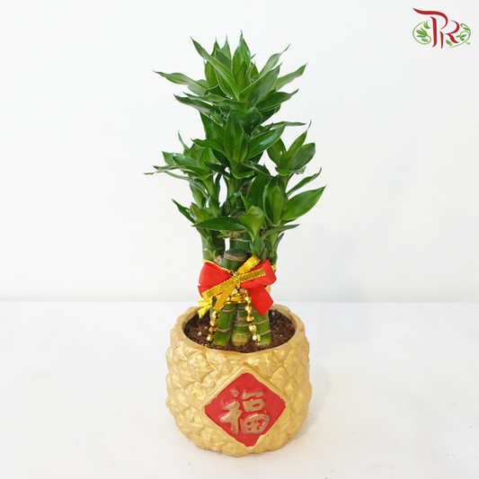 【CNY 2026】GF10 - Gold Full 5in1《金福5in1》(Random Choose CNY Deco)