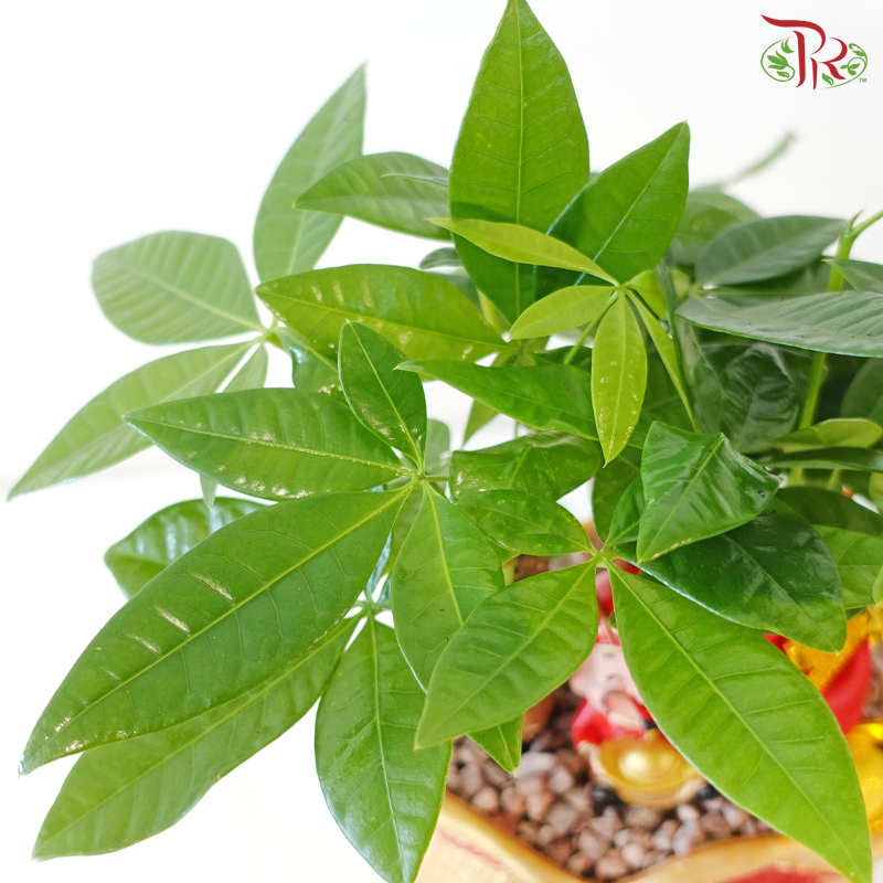 【CNY 2026】GF9 - Treasure Bag《聚宝袋》