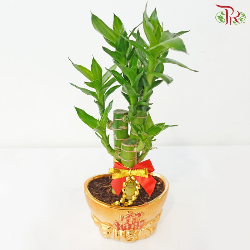 【CNY 2026】GF4 - Ingot Bowl 3in1《元宝3in1》(Random Choose CNY Deco)