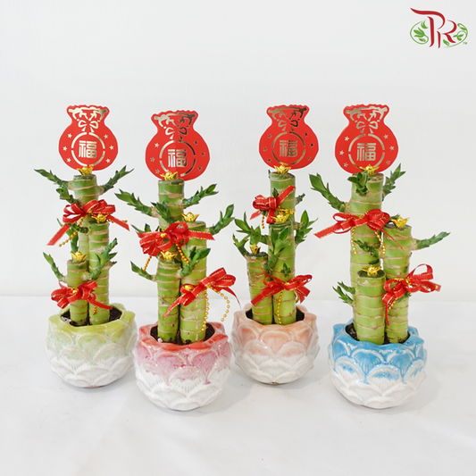 【CNY 2026】Fortune Gathering Dragon Head Bamboo (Lotus Pot)《聚福竹莲花》（With Pot Color Option)