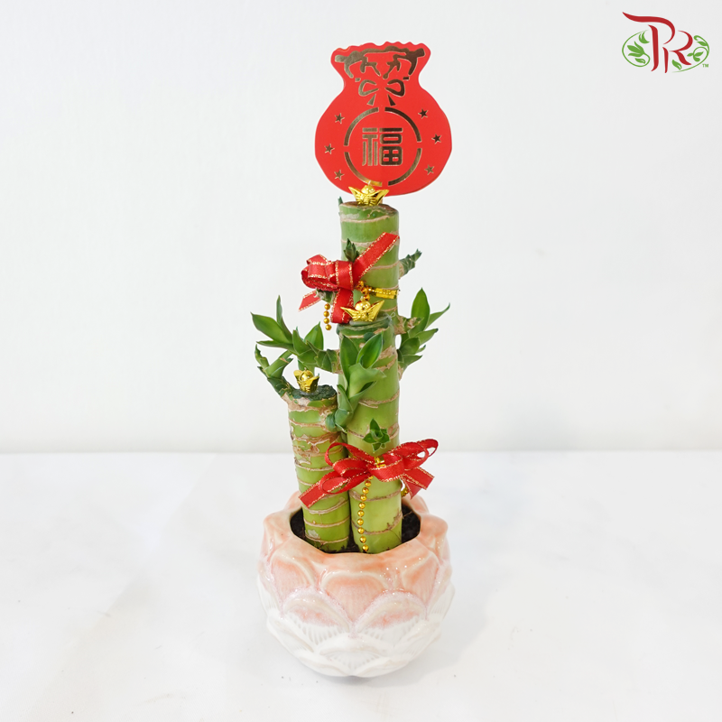 【CNY 2026】Fortune Gathering Dragon Head Bamboo (Lotus Pot)《聚福竹莲花》（With Pot Color Option)