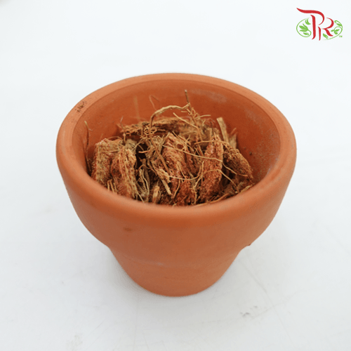 Coco Chip -3L 《椰纤》