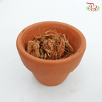 Coco Chip -3L 《椰纤》