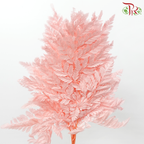 Davallia Fern Preservative - Light Pink (Per Bunch)-Pink-China-prflorist.com.my