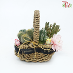 Desert Oasis Basket Arrangement (With Options)-Cactus Theme Arrangement-Pudu Ria Florist-prflorist.com.my