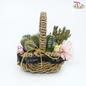 Desert Oasis Basket Arrangement (With Options)-Cactus Theme Arrangement-Pudu Ria Florist-prflorist.com.my