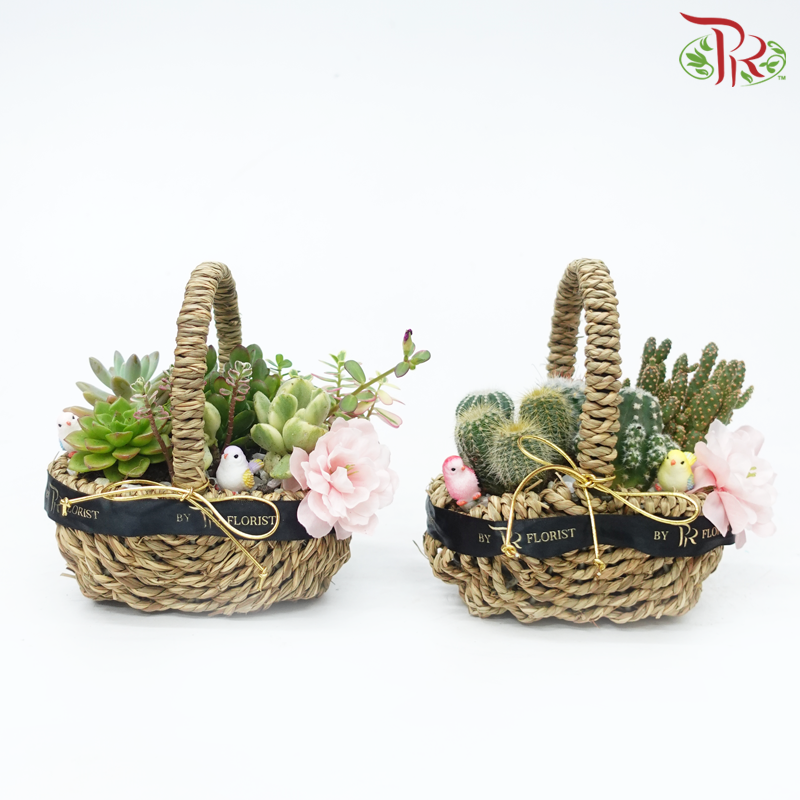 Desert Oasis Basket Arrangement (With Options)-Pudu Ria Florist-prflorist.com.my