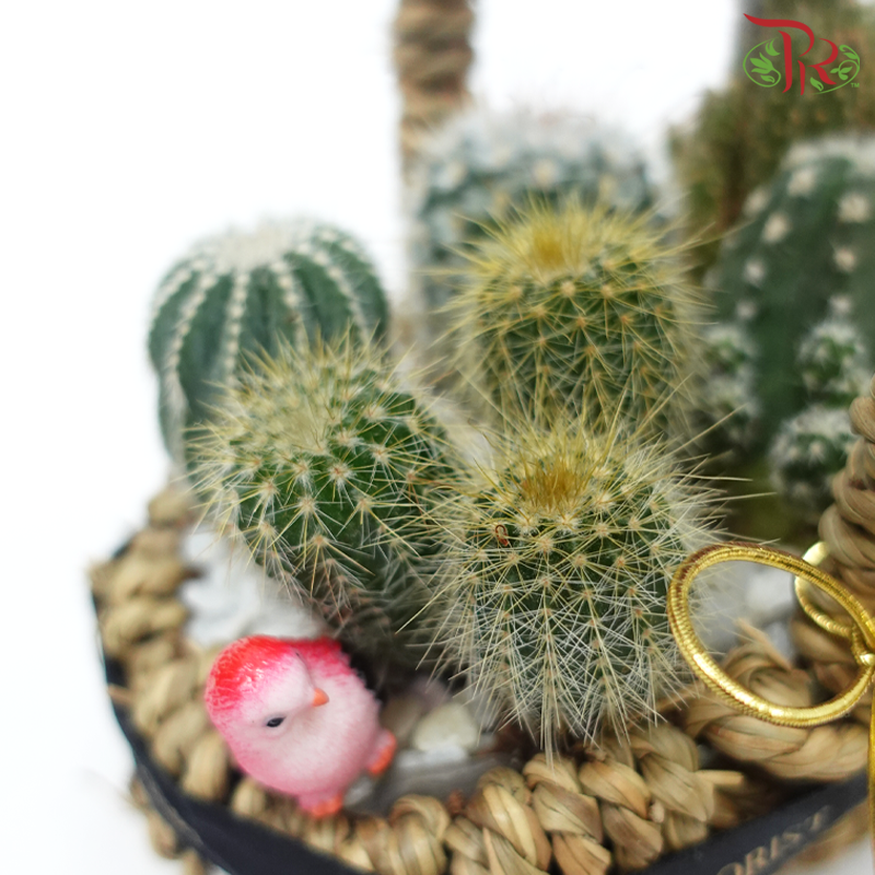 Desert Oasis Basket Arrangement (With Options)-Pudu Ria Florist-prflorist.com.my