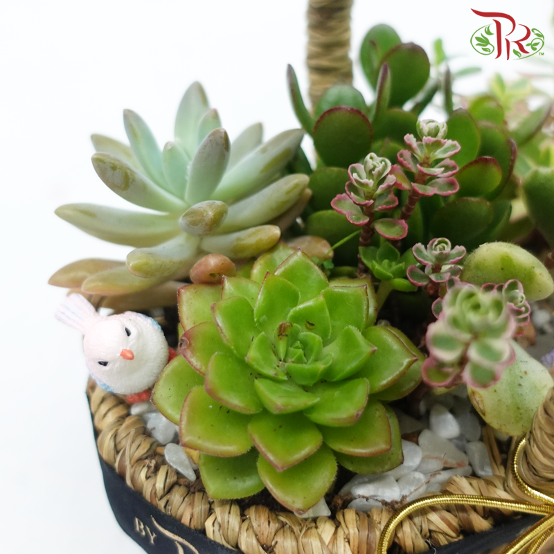 Desert Oasis Basket Arrangement (With Options)-Pudu Ria Florist-prflorist.com.my