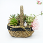 Desert Oasis Basket Arrangement (With Options)-Succulent Theme Arrangement-Pudu Ria Florist-prflorist.com.my