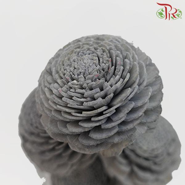 Dry Aeschynomene Big - Grey (5 Stems)-Grey-China-prflorist.com.my