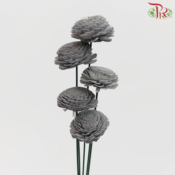 Dry Aeschynomene Big - Grey (5 Stems)-Grey-China-prflorist.com.my