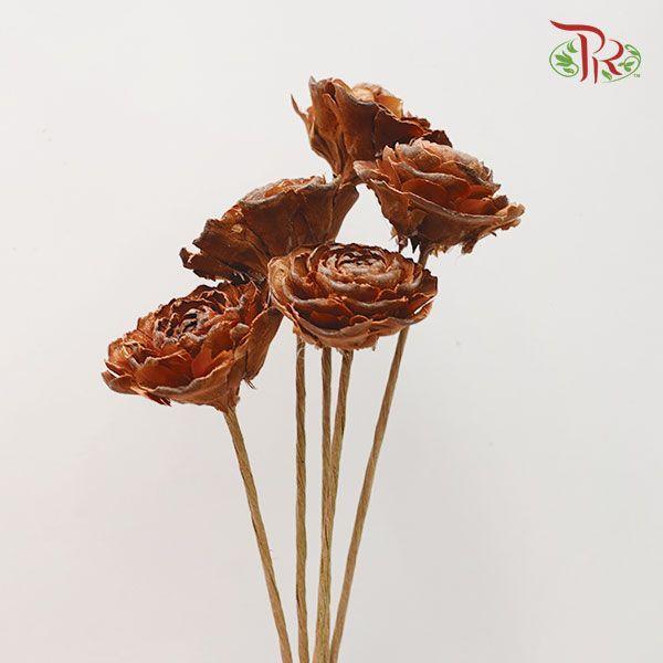 Dry Aeschynomene Medium - Brown ( 5stems )-Brown-China-prflorist.com.my