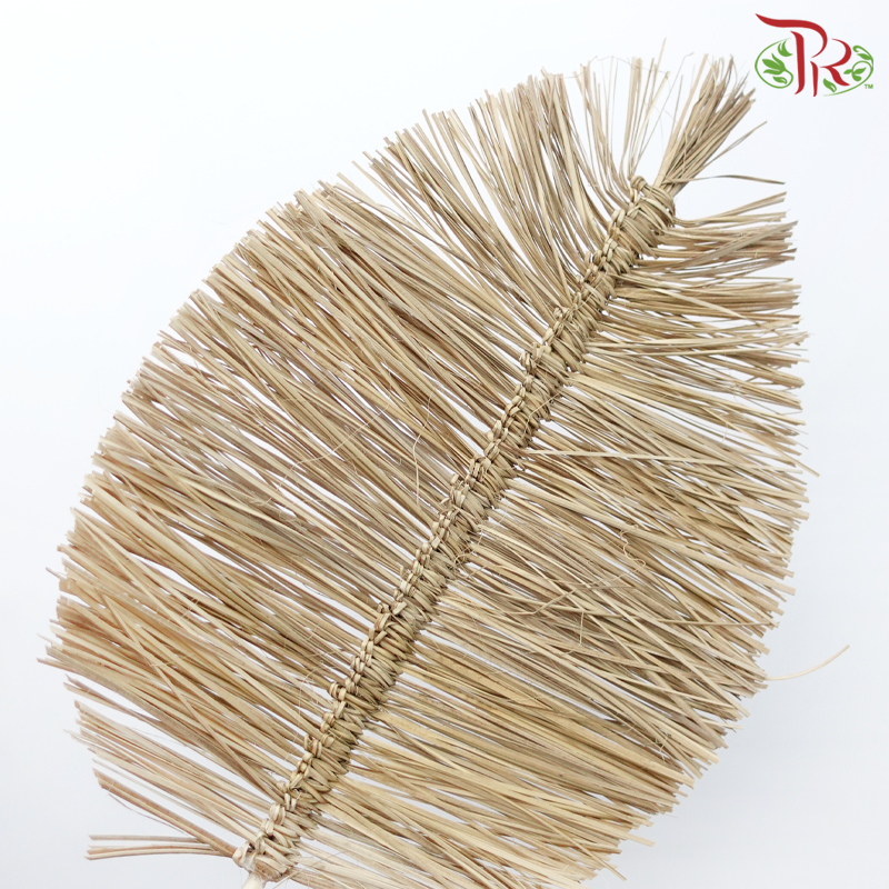 Dry Bamboo Boho Cana Leaf Natural - 55cm (5 Stems)-Natural-Netherland-prflorist.com.my