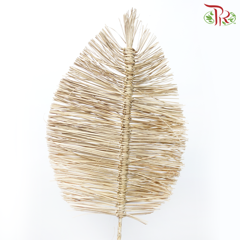 Dry Bamboo Boho Cana Leaf Natural - 55cm (5 Stems)-Natural-Netherland-prflorist.com.my