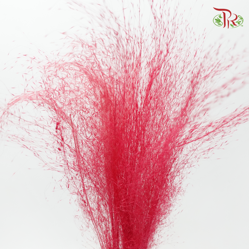 Dry Bleached Muhly Grass - Pink (Per Bunch)-Pink-China-prflorist.com.my