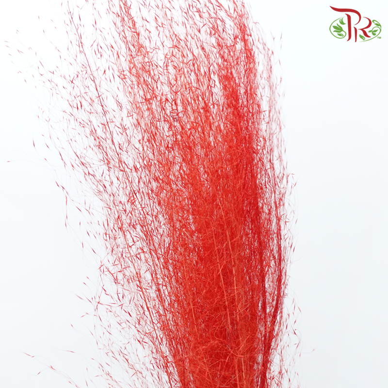 Dry Bleached Muhly Grass - Red (Per Bunch)-Red-China-prflorist.com.my